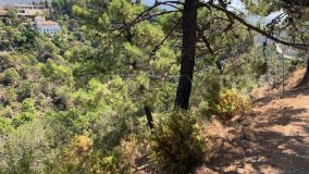Plot for sale in El Madroñal