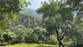 Terrain for sale in El Madroñal, Benahavis