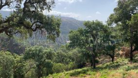 Terrain for sale in El Madroñal, Benahavis