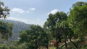 Terrain for sale in El Madroñal, Benahavis