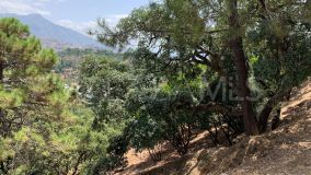 Terrain for sale in El Madroñal, Benahavis