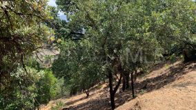 Terrain for sale in El Madroñal, Benahavis