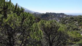 Tomt for sale in Benahavis