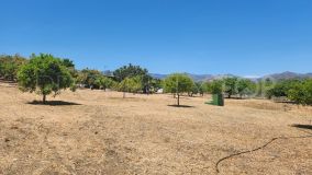 Plot with 1 bedroom for sale in Estepona