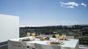 Buy ground floor apartment with 2 bedrooms in Estepona Playa