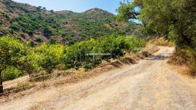 For sale country house in El Padron