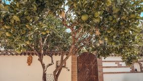 Villa for sale in Nueva Andalucia, Marbella