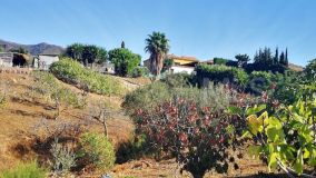 Finca for sale in Estepona
