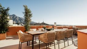 Luxury Penthouse in Los Belvederes