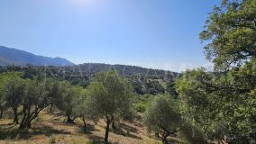 Plot for sale in Casares
