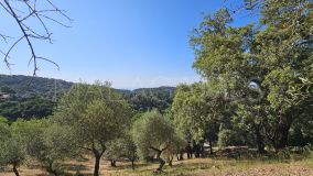 Plot for sale in Casares