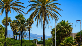 Studio for sale in Puerto La Duquesa, Manilva