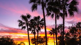 Apartment for sale in Estepona Town