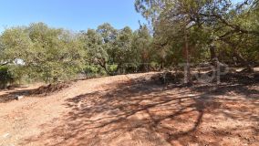 Plot for sale in Sotogrande Alto Central