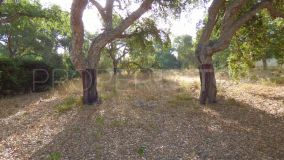 Una parcela plana y rectangular en la zona central de Sotogrande