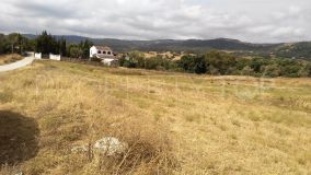 Plot in Jimena de La Frontera for sale