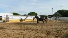For sale Chiclana de la Frontera finca