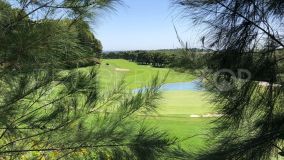 Spectacular plot of 8.297m2 in front line golf Valderrama, one of the most exclusive enclaves of Sotogrande