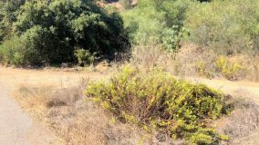 Plot for sale in Elviria, Marbella East