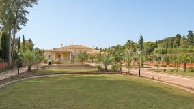Villa for sale in Guadalmina Baja, San Pedro de Alcantara