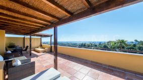 Appartement Terrasse for sale in Cascada de Camojan, Marbella Golden Mile