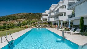 Apartamento Planta Baja en venta en Ojen