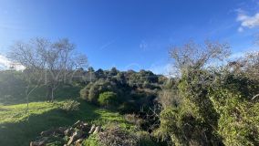 Finca for sale in Estepona