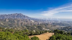 Terrain for sale in La Zagaleta, Benahavis