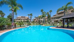 Markplanslägenhet for sale in Las Alamandas, Nueva Andalucia