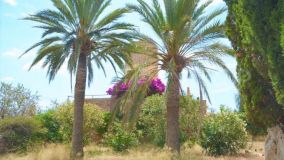 For sale country house in Felanitx