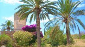 For sale country house in Felanitx