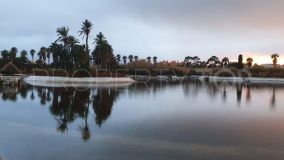 Comprar casa con 4 dormitorios en Ses Salines