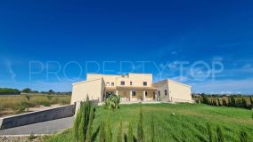 Buy house in Santa Margalida