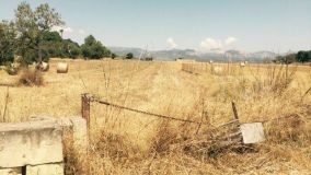 Residential plot in Santa Eugènia for sale