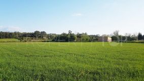 For sale residential plot in Sencelles