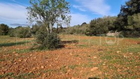 For sale residential plot in Sencelles