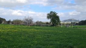 Plot for sale in Sineu