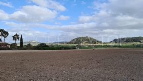 Comprar parcela residencial en Sineu