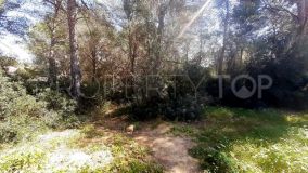 For sale Peguera residential plot