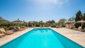 Ses Salines hotel for sale