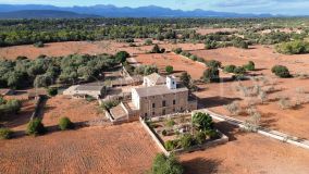 Algaida, finca con 14 dormitorios en venta