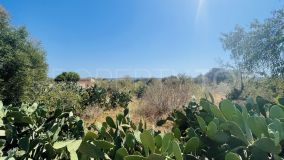 For sale plot in Ses Salines