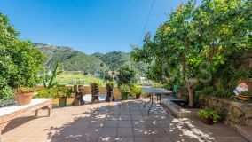 Appartement rez de chaussée for sale in Benahavis