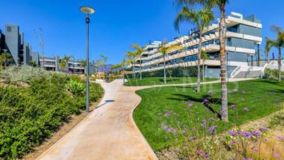 Ground Floor Apartment for sale in Oasis325, Estepona East