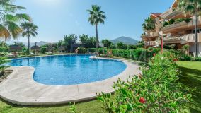Ground Floor Apartment for sale in Magna Marbella, Nueva Andalucia