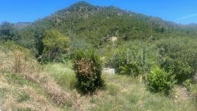 Plot for sale in Ojen Centro