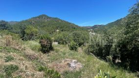 Plot for sale in Ojen Centro