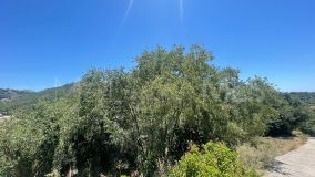 Plot for sale in Ojen Centro