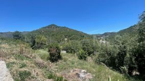 Plot for sale in Ojen Centro