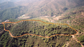 Finca for sale in Estepona East